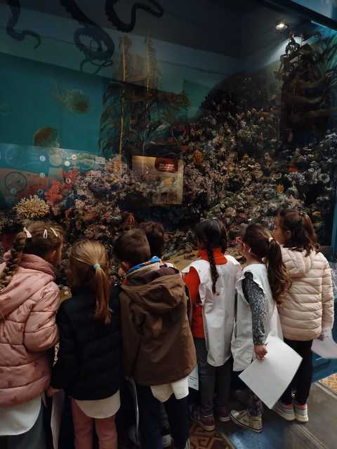 Visita al Museo de Ciencias Naturales