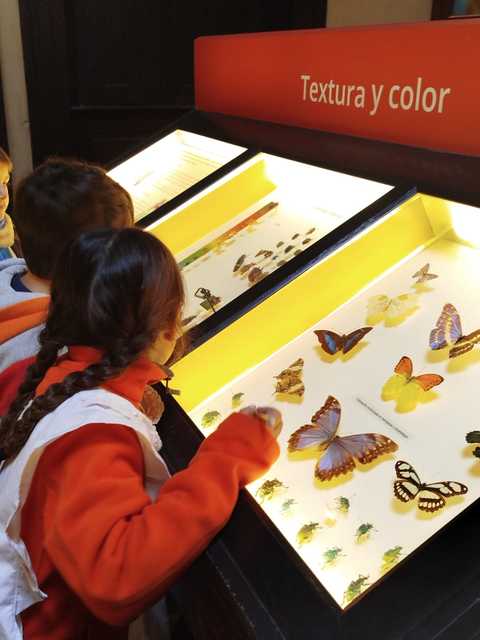 Visita al Museo de Ciencias Naturales