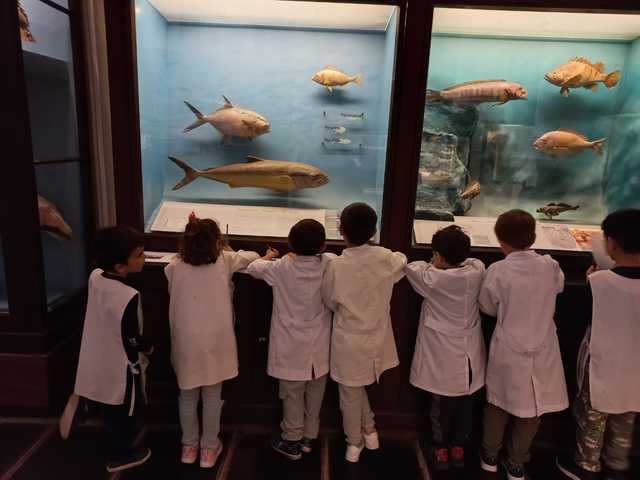 Visita al Museo de Ciencias Naturales Visita al Museo de Ciencias Naturales