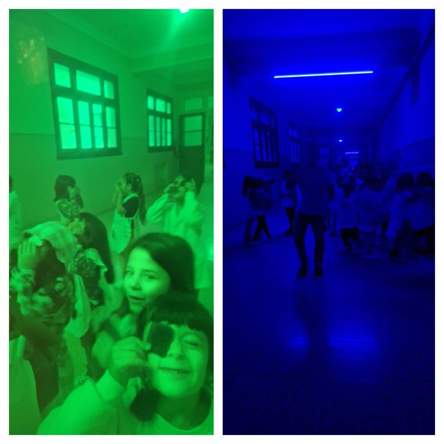 Exploramos la luz y el color en 2º grado Exploramos la luz y el color en 2º grado