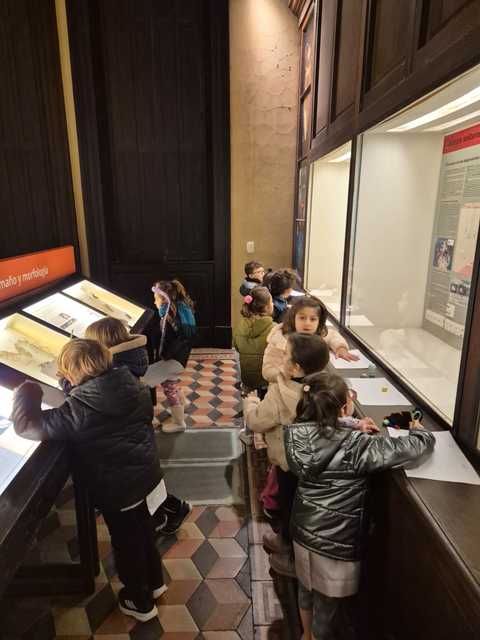 Visita al Museo de Ciencias Naturales