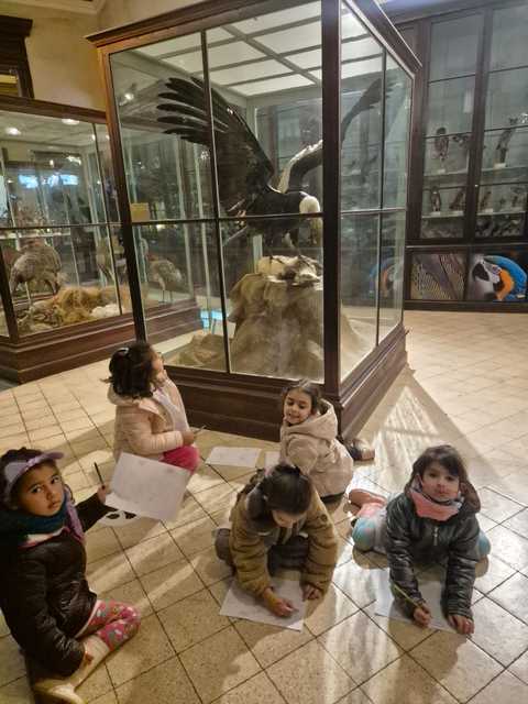 Visita al Museo de Ciencias Naturales