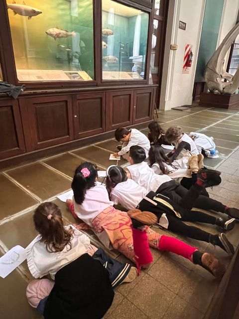 Visita al Museo de Ciencias Naturales