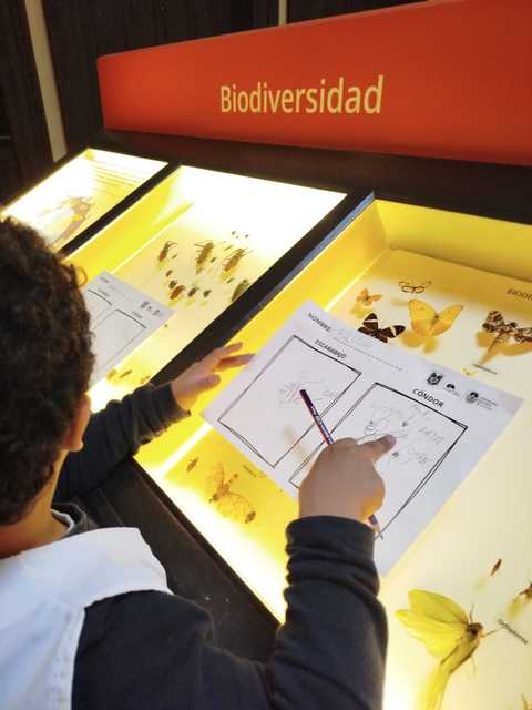 Visita al Museo de Ciencias Naturales